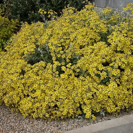 Bed & Breakfast Glenderan