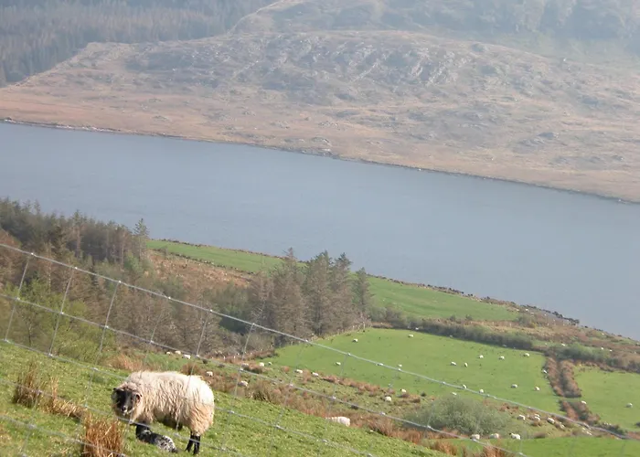 Bed and breakfast Glenderan 4*