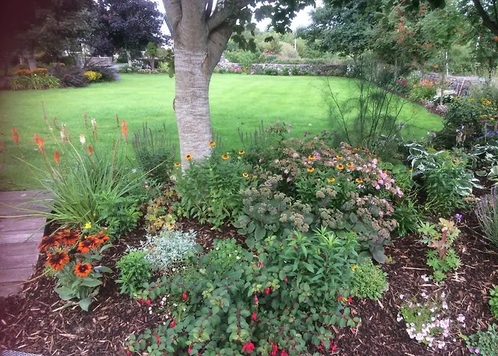 Bed and breakfast Glenderan Westport