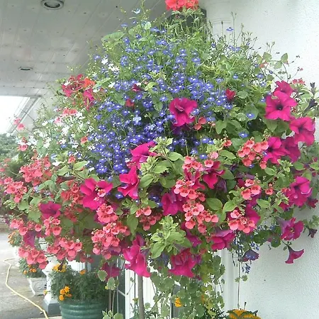 Glenderan Bed & Breakfast Westport