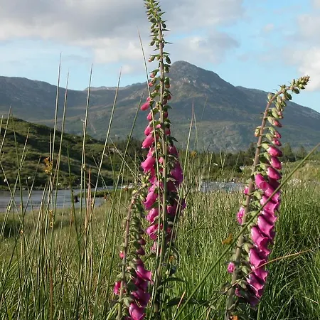 Glenderan 4*