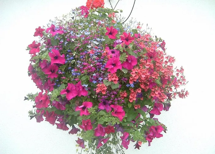 Glenderan Bed & Breakfast Westport