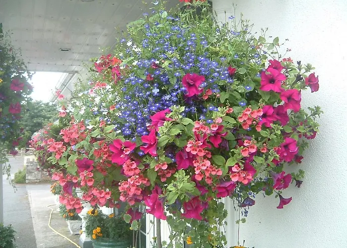 Glenderan Bed & Breakfast Westport