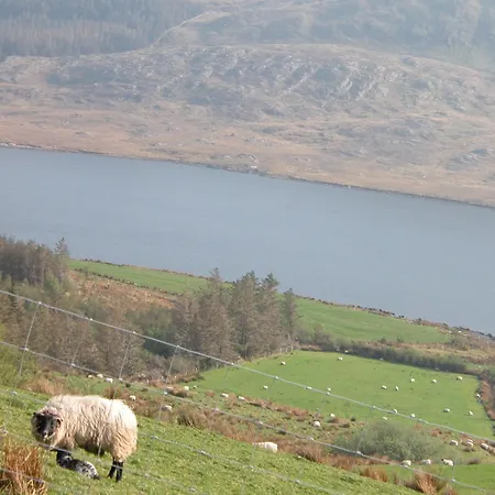Bed & Breakfast Glenderan 4*