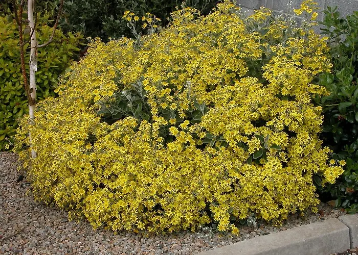 Bed & Breakfast Glenderan