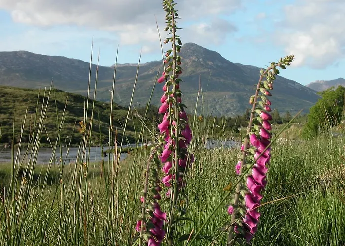 Glenderan 4*